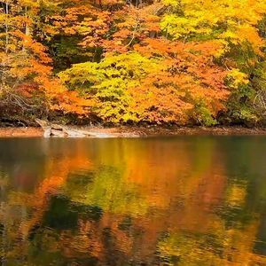 Meet your Posher, Evetta